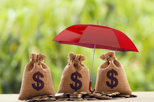 finanzierung gesellschaft kaufen gesucht Geldanlage gmbh anteile kaufen notar vendita gmbh wolle kaufen