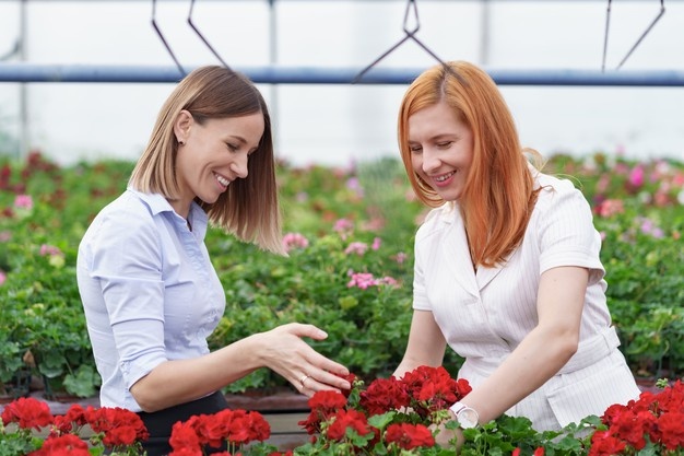 firma kaufen gmbh anteile kaufen vertrag bedingungen gmbh anteile kaufen steuer neuer GmbH Mantel
